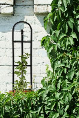 Fino a 60% su Dispenser porta rotoli e porta spezie da cucina