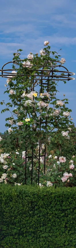 Panacea Products 40505 Portaspezie Da Parete O Porta In Filo Vinilico – Bianco, Raccoglitore Salvaspazio Per Barattoli - 2